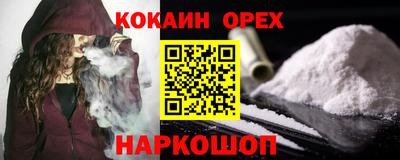прущие грибы Будённовск