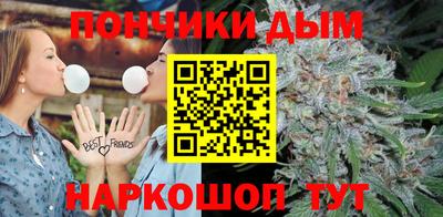 прущие грибы Будённовск