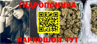 прущие грибы Будённовск