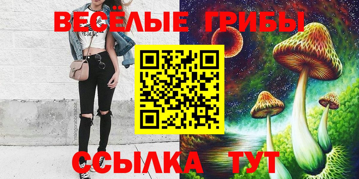 Галлюциногенные грибы ЛСД  Вход с VPN  купить   Галлюциногенные грибы прущие грибы  Татарск 